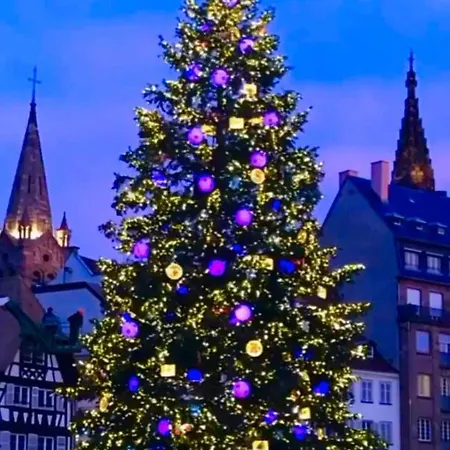 Lejlighed Le 39 Strasbourg