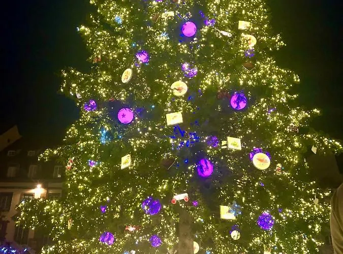 Apartamento Le 39 Estrasburgo