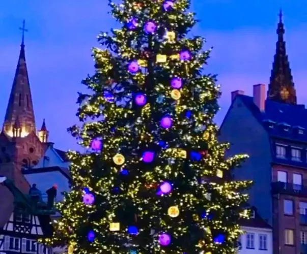 Apartamento Le 39 Estrasburgo